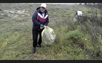 capoterra 160 volontari del wwf per ripulire stagno e spiaggia