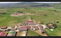 agriturismo il pienone di pasqua presenze superiori al pre covid