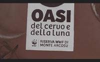uta il parco del gutturu mannu si ripopola di imprenditori