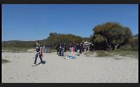 olbia la giornata della terra parte la pulizia della spiaggia di pittulongu