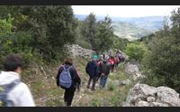 lod tutto esaurito per foreste aperte e la magia del parco di tepilora