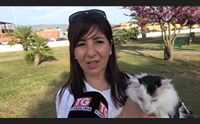 quartu serie di incontri sul benessere animale la storia di faustino
