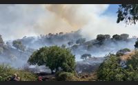 nuoro tra erbacce e rischio incendi in ritardo sulla prevenzione