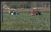 agricoltura