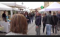 villanovafranca e lunamatrona primavera in marmilla tra storia e natura