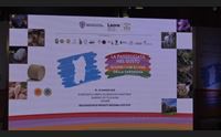 cagliari l assessora satta un marchio unico per vini e cibi dell isola