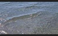 cagliari sulla spiaggia del poetto prove d estate tra nuvole e sole