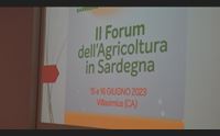 forum dell agricoltura immagine positiva ma la burocrazia frena