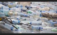 flags il progetto per la pulizia del mare che coinvolge i pescatori