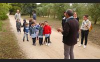 turri dal grano al pane gli antichi mestieri raccontati ai bambini