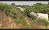 alghero stop all utilizzo dei reflui rischio marea gialla sul litorale