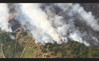incendi forestas in campo nella lotta al fuoco fondamentale prevenire