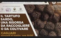la via sarda del tartufo risorsa da raccogliere e da coltivare