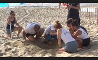 badesi lieto evento in spiaggia prima nidificazione di caretta caretta