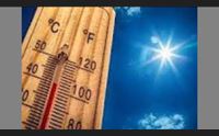 caldo e afa giuliacci il picco il 12 luglio con le polveri sahariane