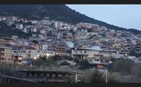 cagliari il caso di colera infezione provocata dai frutti di mare