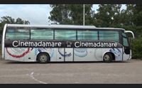 arzachena cinemadamare e ambiente la promozione arriva dai giovani