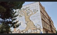 quartu casa dello studente