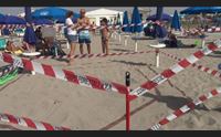 il poetto il grande nido delle caretta caretta ieri deposte altre uova