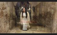 maria giovanna cherchi e fausto leali a gerusalemme deus ti salvet maria