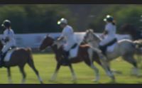 abbiadori sardegna capitale del polo i piccoli campioni crescono