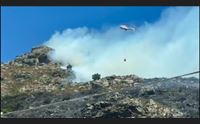 gairo ripartono le fiamme distrutti 45 ettari di bosco in una notte