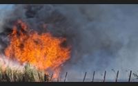 quartu terrore nel campeggio e tra le case ferito vigile del fuoco