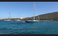 stop asinara raduno velico a cala reale un paradiso della biodiversit