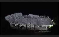 mogoro ai piedi del nuraghe cuccurada il festival pedas et sonus