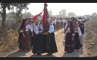 cabras san salvatore la donne scalze lungo su camminu de su santu