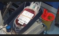 carenza sangue talassemici senza certezze costretti a rinviare trasfusioni