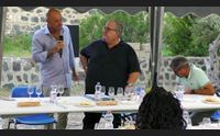 vigne e cultura a sant antonio di santadi la vite diventa impresa