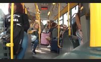olbia mezzo secolo di trasporto urbano l aspo guida verso il futuro