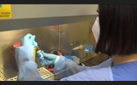 covid il virus circola ancora ma non ci facciamo pi caso vaccinatevi