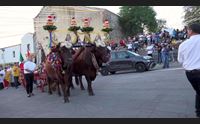 nurri paese in festa per santa rosa da viterbo 200 anni di storia