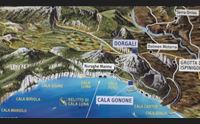 cala gonone e il sogno di reintrodurre la foca monaca tempi maturi