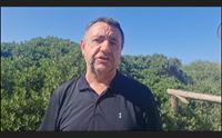 la ricomparsa della peste suina il virus arrivato dalla penisola