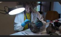 barumini da restauri aperti l appello una scuola per formare professionisti