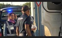 peste suina i controlli nei porti verifiche dei tir ma anche nelle auto private