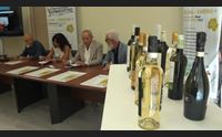 olbia benvenuto vermentino l enoturismo viaggia gonfie vele