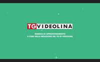 videolina da luned tutti i giorni alle 15 le nuove rubriche sul tg