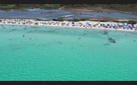 san teodoro spiagge a numero chiuso la tutela porta grandi numeri