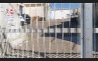 cagliari il giallo di viale elmas si cercano riscontri dall autopsia