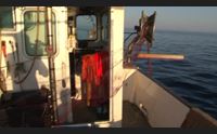 servit militari stop indennizzi ai pescatori subito una soluzione