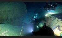 il granchio blu nelle grotte del bue marino ecosistema in pericolo