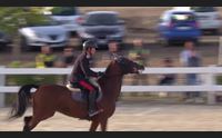 equitazione sardegna jumping tour brillano i fratelli correddu