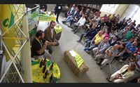 l agnello sardo a emissioni zero in corsa per loscar green nazionale