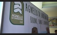 borore la scossa dell agnello di sardegna igp marchio sull 85 dei capi
