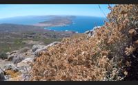 asinara oltre 100mila visitatori nel 2023 tornati tedeschi e francesi