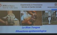 i nuovi focolai di lngua blu lo zooprofilattico il freddo nostro alleato